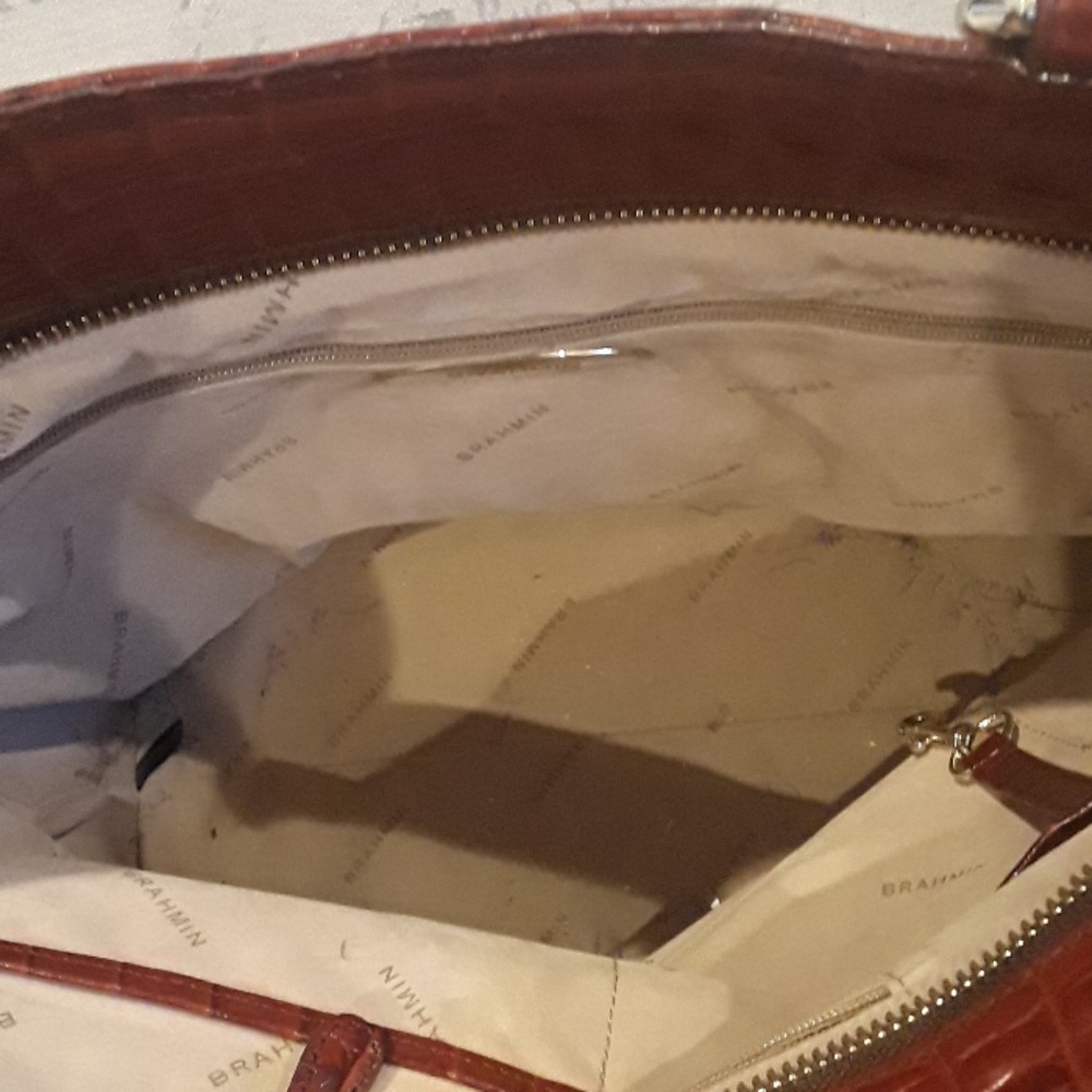 Brahmin - Picture 4 of 6